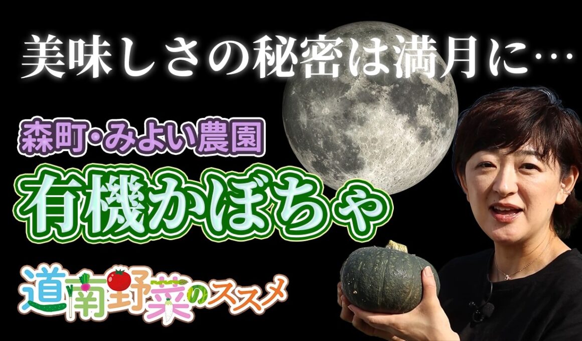 全人類が食べた方がいいかぼちゃに遭遇！「道南野菜のススメ第3弾：みよい農園」【なまら函館#120】