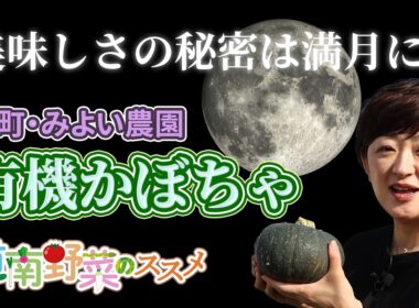 全人類が食べた方がいいかぼちゃに遭遇！「道南野菜のススメ第3弾：みよい農園」【なまら函館#120】