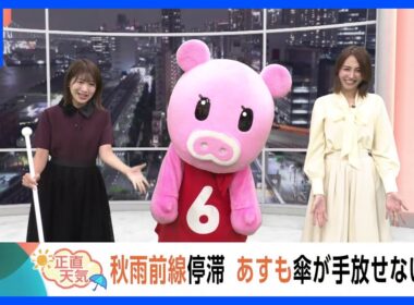【9月29日 関東の天気】秋雨前線停滞 あすも傘が手放せない｜TBS NEWS DIG