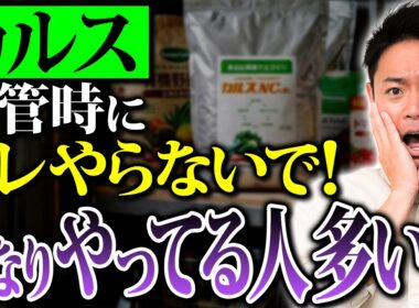 カルスの正しい保管法！これを知らないと損します！【家庭菜園 土づくり ガーデニング カルスNC-R】