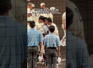 痛いじゃん #高校野球 #甲子園 #仙台育英 #拓大紅陵