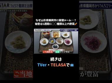 【#BooSTAR】なぜ山形県鶴岡市に献便ルーム…？秘密は1週間に○○種類以上の野菜!? #入山章栄 #弘中綾香