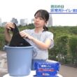 【画像】今日の晴山紋音さん 9.1