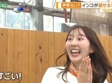 【画像】今日の佐々木若葉さん　9.18※動画も