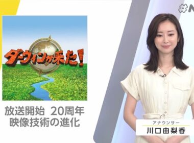 【画像】昨夜の川口由梨香さん　9.2