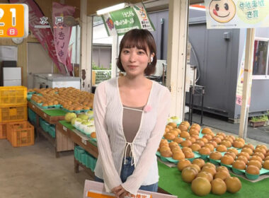 【画像】今日の今井春花さん　9.13