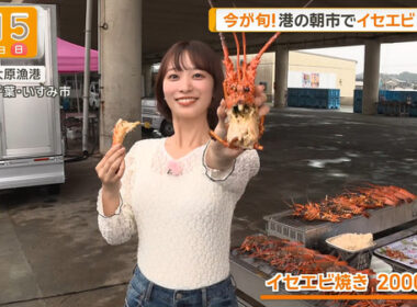 【画像】今日の今井春花さん　9.27