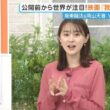 【画像】今日の若林有子さん　 9.24