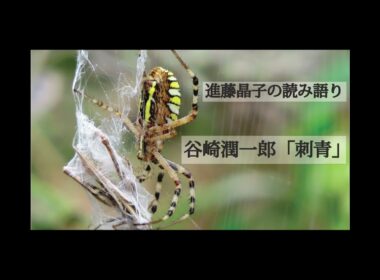 進藤晶子の読み語り  谷崎潤一郎 「刺青」