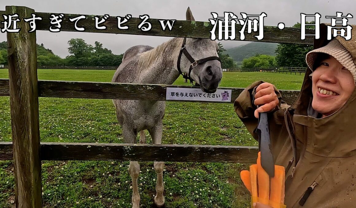 【北海道キャンプ】右も左も馬だらけ！サラブレッドの聖地を巡る贅沢旅