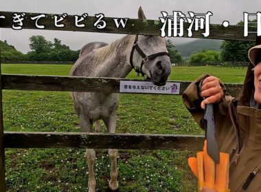 【北海道キャンプ】右も左も馬だらけ！サラブレッドの聖地を巡る贅沢旅