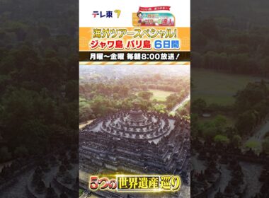【海外特別編】教えて！ツアーのHow Much!? 悠久の歴史と癒やしの時間を楽しむバリ島＆ジャワ島 #shorts #shortvideo #short  #旅番組