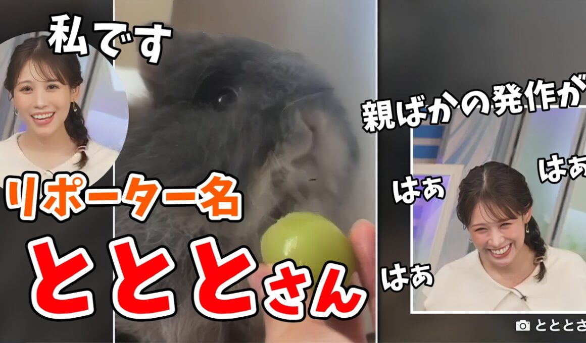 【戸北美月】リポーター名を変更したみーちゃん！早速わたげさんのリポートを送って紹介してくれる【ウェザーニュース切り抜き】