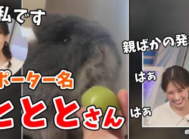 【戸北美月】リポーター名を変更したみーちゃん！早速わたげさんのリポートを送って紹介してくれる【ウェザーニュース切り抜き】