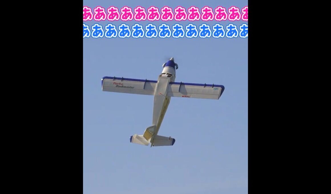 トルクロールする高翼機 #ラジコン飛行機