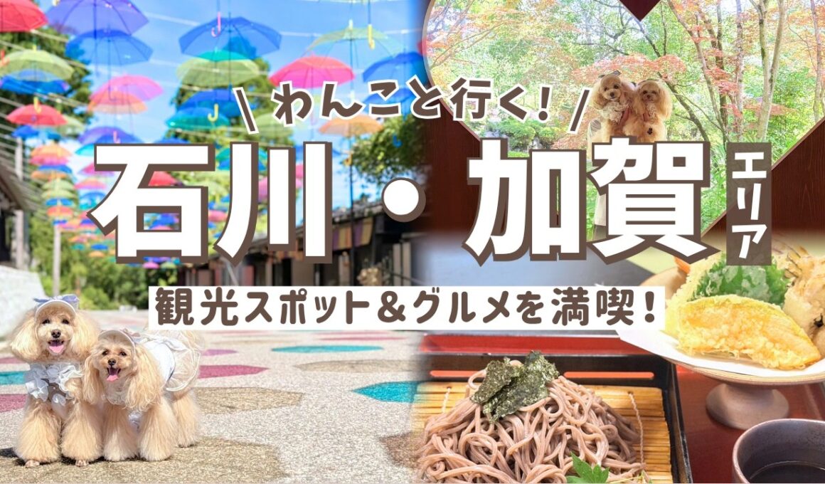 【石川・加賀】愛犬と行く！グルメ＆おすすめ観光スポット♨️｜ゆのくにの森｜山中温泉食べ歩き