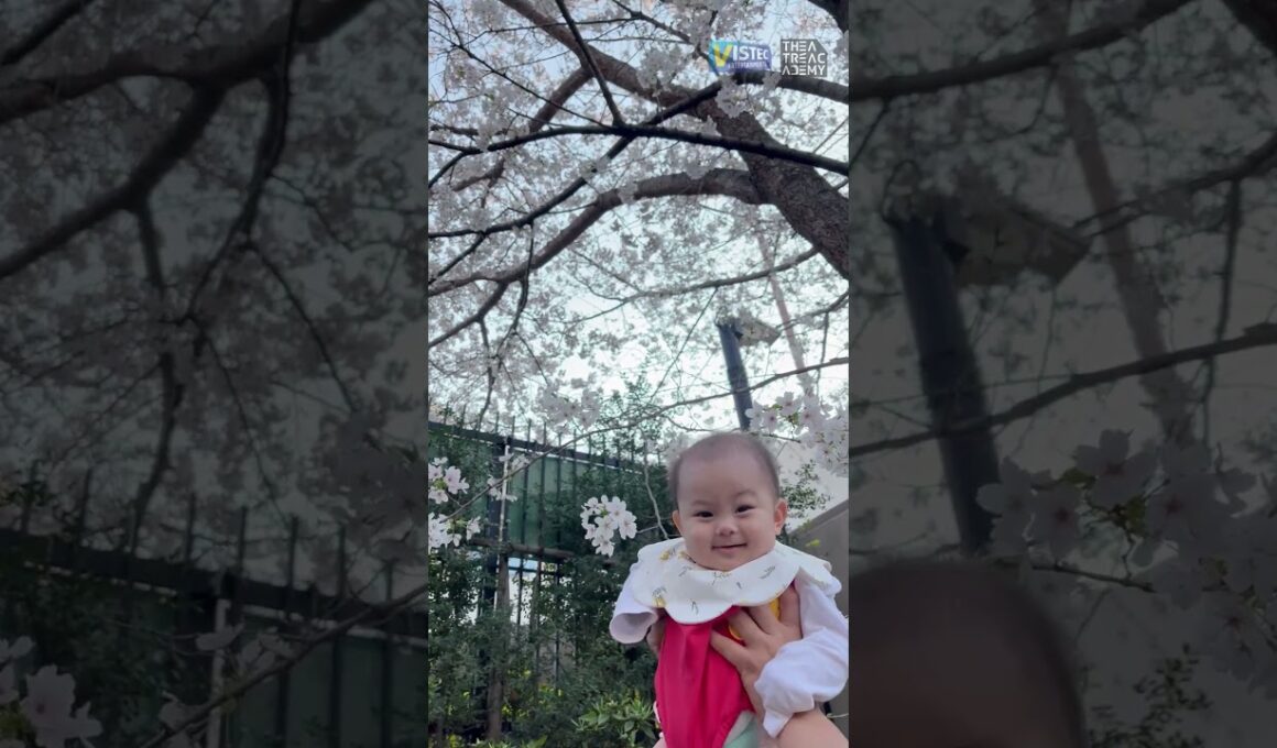 桜の下でたかいたか～い