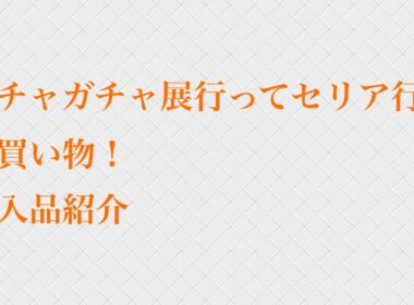 ガチャガチャ展行ってセリア行って買い物！購入品紹介