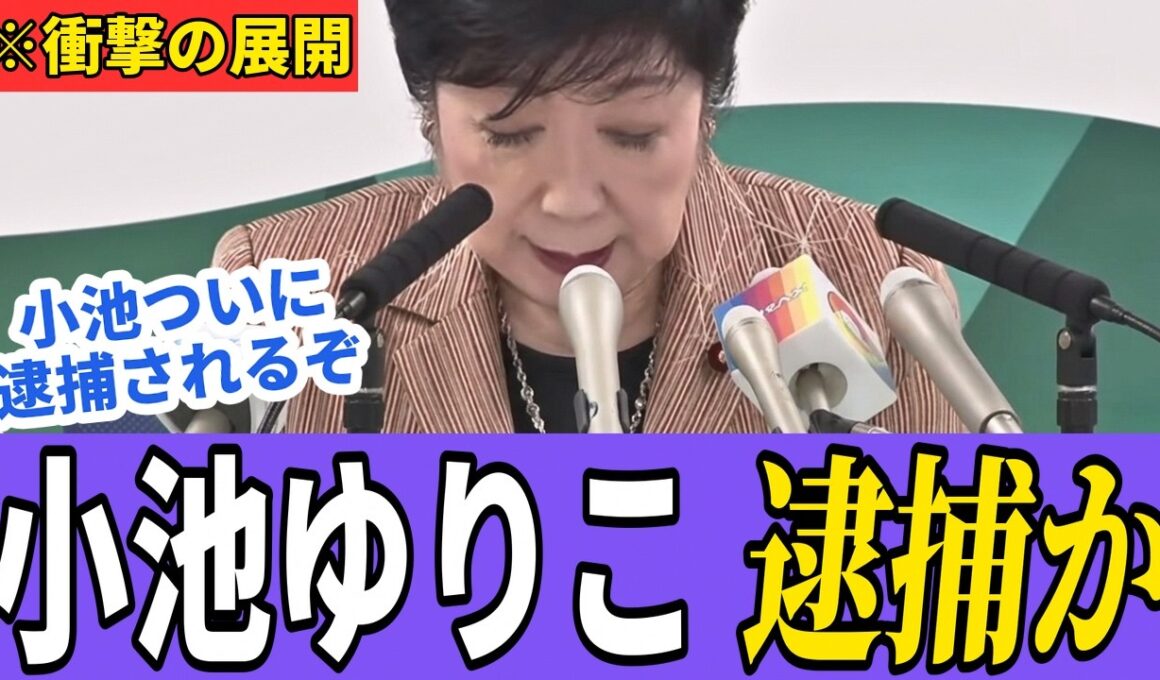 【小池百合子】小池都知事に逮捕の可能性！特捜部OBが学歴詐称疑惑の裏側を暴露【さとうさおり 都議会 カイロ大学】
