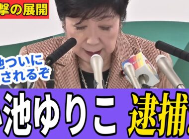 【小池百合子】小池都知事に逮捕の可能性！特捜部OBが学歴詐称疑惑の裏側を暴露【さとうさおり 都議会 カイロ大学】