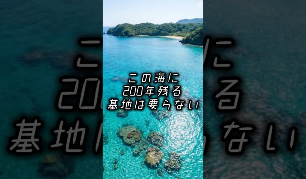 🏝️この海に200年残る基地は要らない🐠