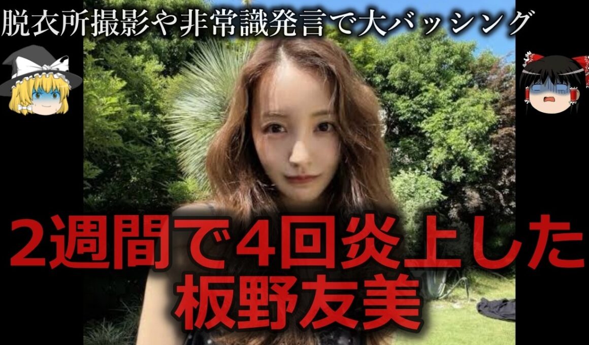【ゆっくり解説】2週間で4回燃えた非常識芸能人板野友美をゆっくり解説