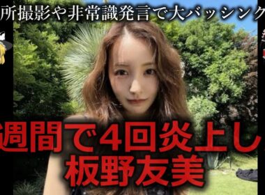 【ゆっくり解説】2週間で4回燃えた非常識芸能人板野友美をゆっくり解説