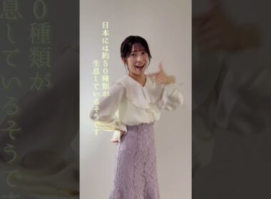【ややウケ天気予報】ホタルの種類 #通勤タイパ #山岸愛梨 #豆知識