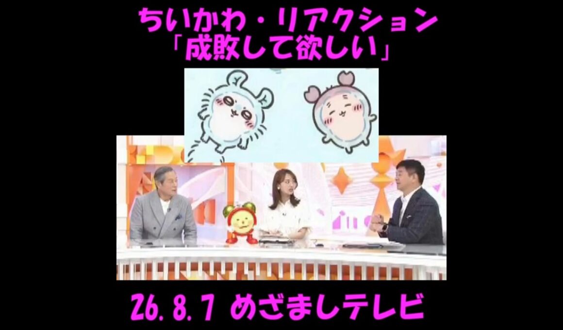 「成敗して欲しい」 #ちいかわ #めざましテレビ リアクション 26.8.7 #松平健 #千葉雄大 #鈴木愛理