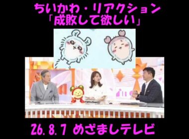 「成敗して欲しい」 #ちいかわ #めざましテレビ リアクション 26.8.7 #松平健 #千葉雄大 #鈴木愛理