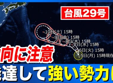 【台風29号 2026】発達して強い勢力に  今後の動向に注意（5日15時更新）