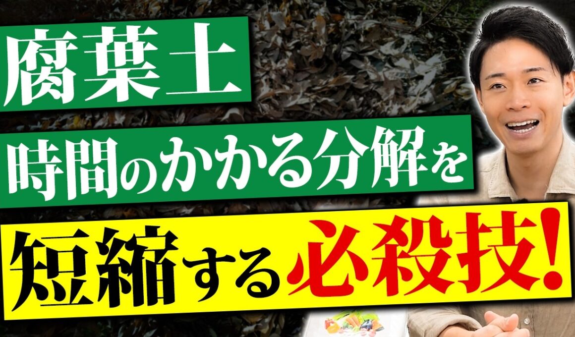 簡単なのに効果は抜群！腐葉土を効率的に活用する方法を大公開【家庭菜園 土づくり 土壌改良 腐葉土】