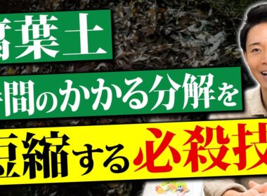 簡単なのに効果は抜群！腐葉土を効率的に活用する方法を大公開【家庭菜園 土づくり 土壌改良 腐葉土】