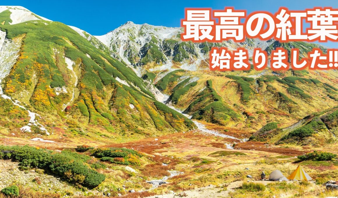 【長野移住】遂に最高の紅葉が始まったよ!!｜紅葉｜立山黒部アルペンルート｜室堂｜ドライブ｜田舎暮らし｜長野県｜富山県｜4K