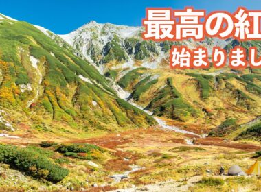 【長野移住】遂に最高の紅葉が始まったよ!!｜紅葉｜立山黒部アルペンルート｜室堂｜ドライブ｜田舎暮らし｜長野県｜富山県｜4K