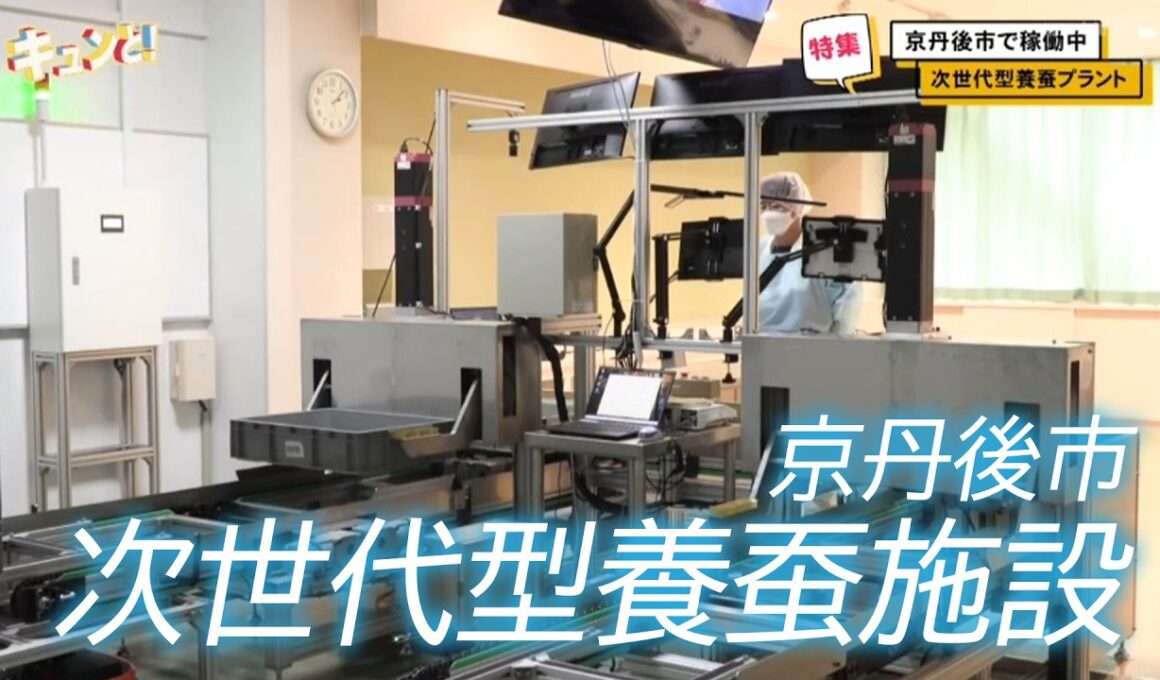 【特集】自動搬送＆AI活用した養蚕プラント／きょうと経済テラス キュンと！