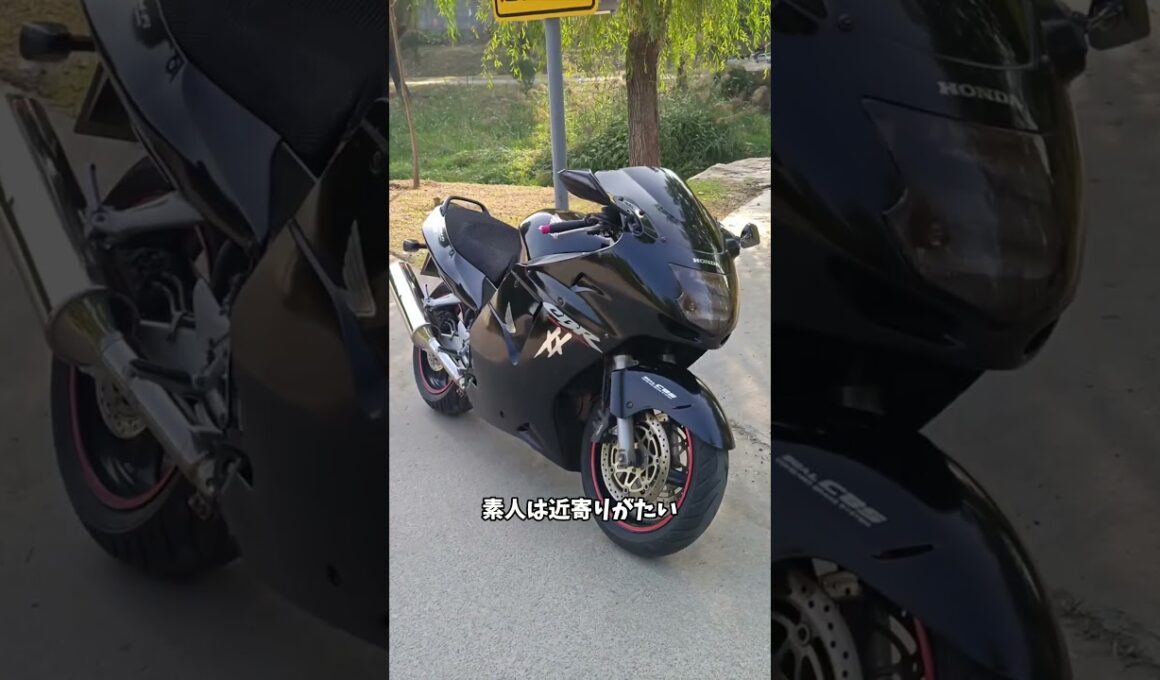 安すぎて逆に怖い…知る人だけが乗る最強バイク5選#雑談 #automobile #愛車紹介 #shorts
