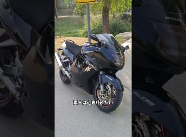 安すぎて逆に怖い…知る人だけが乗る最強バイク5選#雑談 #automobile #愛車紹介 #shorts