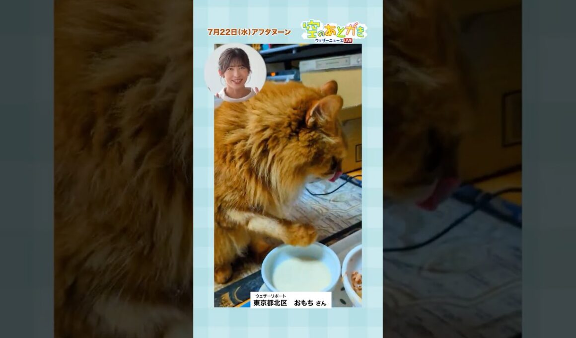 【空のあとがき】山岸キャスターが気になったリポートは？ #通勤タイパ #山岸愛梨