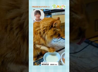 【空のあとがき】山岸キャスターが気になったリポートは？ #通勤タイパ #山岸愛梨