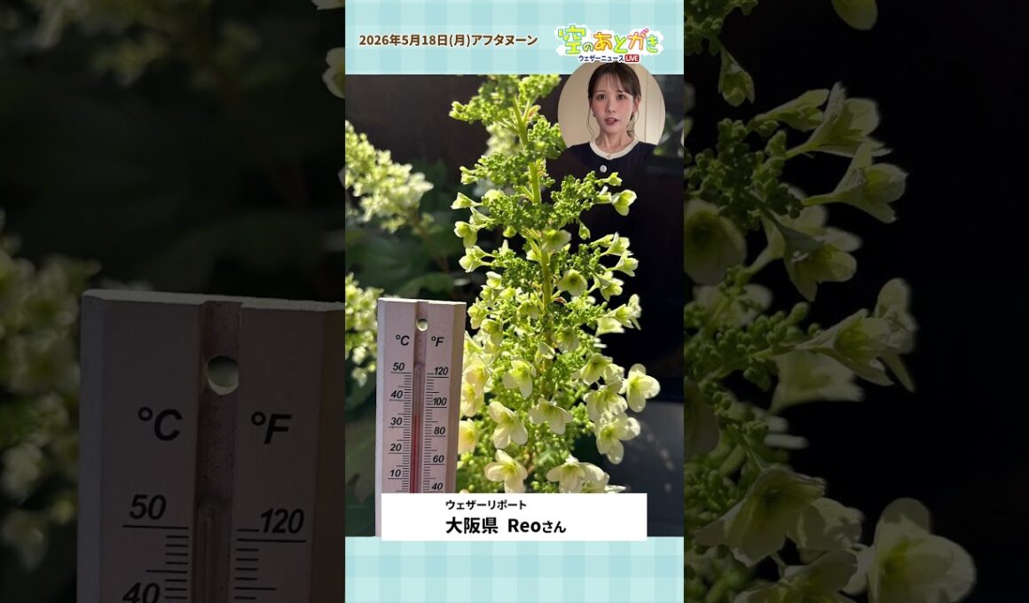 【空のあとがき】戸北キャスターが気になったリポートは？5月18日 #通勤タイパ  #戸北美月
