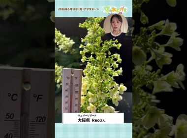 【空のあとがき】戸北キャスターが気になったリポートは？5月18日 #通勤タイパ  #戸北美月