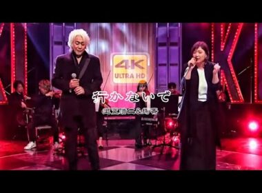 日语经典金曲【请别走】玉置浩二与绚香 如泣如诉/画面太感人了