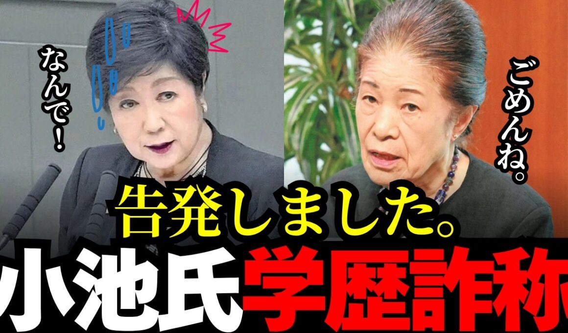 【小池百合子】告発されました。かカイロ大学の同居人からの暴露。真実が判明した。