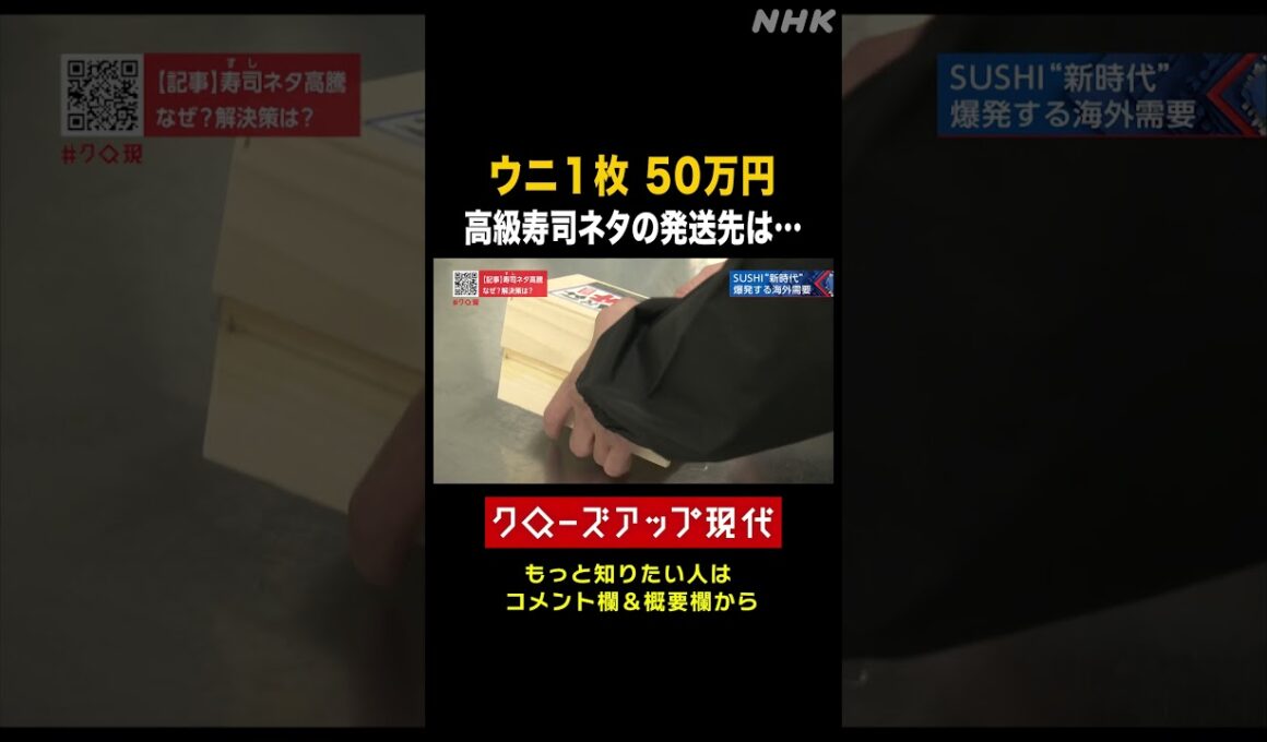 ウニが1枚50万円！高級寿司ネタの発送先は【クロ現】| NHK | #shorts