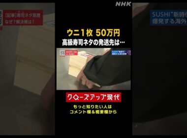 ウニが1枚50万円！高級寿司ネタの発送先は【クロ現】| NHK | #shorts