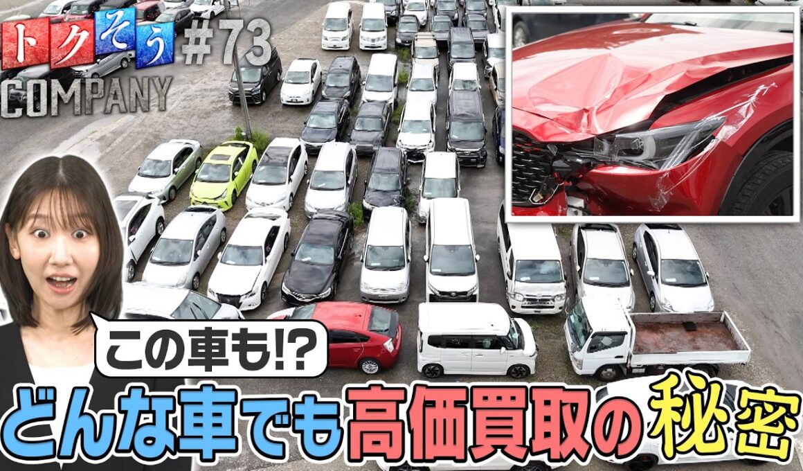 【出演：柏木由紀】 『トクそうCOMPANY』 ▼どんな車でも高価買取！その独自戦略の秘密をトクそうせよ！
