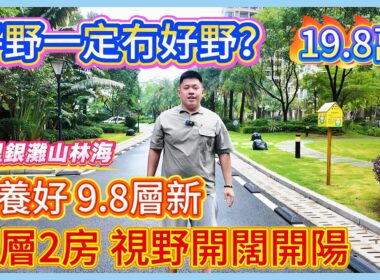 邊個話平野一定冇好野？埋黎睇下，山林海高層2房，19.8萬，十里銀灘山林海，山景，落樓有交通中心