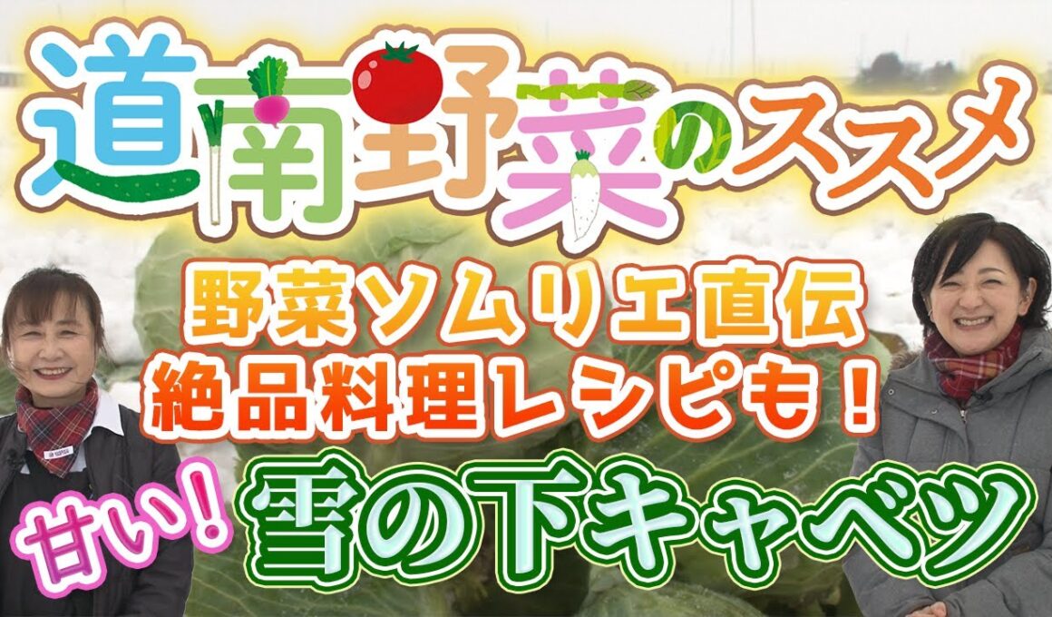 2026年新企画！「道南野菜のススメ」甘いぞ！雪の下キャベツ「高坂農園」【なまら函館#103】