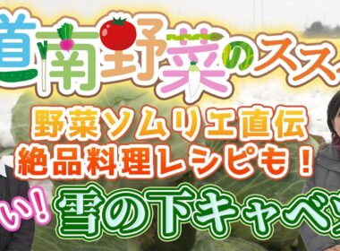 2026年新企画！「道南野菜のススメ」甘いぞ！雪の下キャベツ「高坂農園」【なまら函館#103】